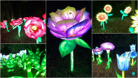 Floral lighting. Lightopia London 2021 festival Crystal Palace park