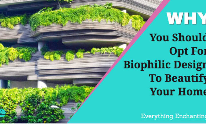Why You Should Opt For Biophilic Design To Beautify Your Home This Year 2022
