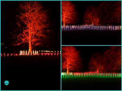 Grounding show. Christmas at kew 2022 London travel guide, things to see, do, light displays festival