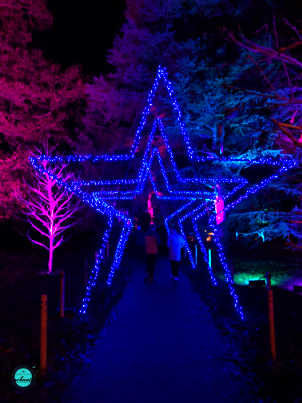 Star Walk. Christmas at kew 2022 London travel guide, things to see, do, light displays festival