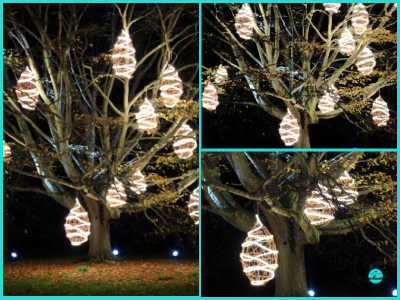 Willow Hives. Christmas at kew 2022 London travel guide, things to see, do, light displays festival