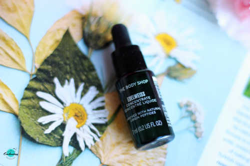 the body shop edelweiss daily serum concentrate review for dry, oily, sensitive skin