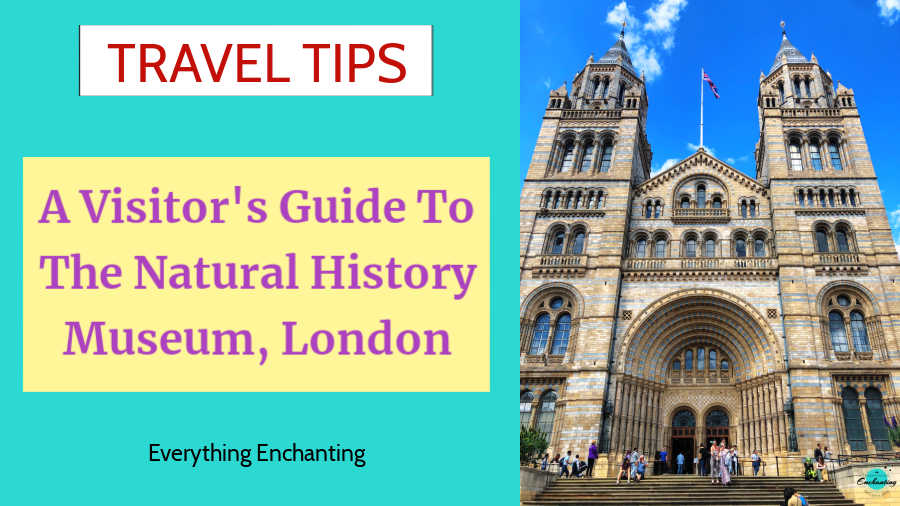 A visitor’s guide to natural history museum London 2023, tips & best things to see, do at the natural history museum with kids and family.