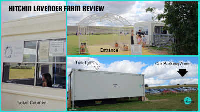 a collage detailing the farm's ticket counter, main entrance archway, and a portable toilet with a car parking zone; a panoramic view of lavender fields leading to farm facilities and a car park.