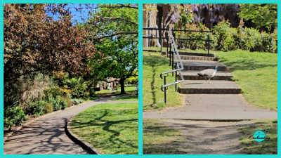 A two-panel collage featuring scenes from Holland Park. The left panel shows a paved, winding walking path surrounded by lush trees and manicured garden beds. The right panel captures a peacock walking up a set of concrete steps with a metal handrail, set against a grassy hill with flowering plants.