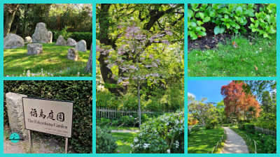 A five-panel collage featuring The Fukushima Garden in Holland Park, showcasing a stone rock garden, a flowering tree, a small bird on the grass, a sign reading "The Fukushima Garden," and pathways winding through the lush green landscape.