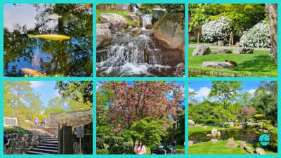 A six-panel collage featuring the Kyoto Garden in Holland Park, London. The images display various serene elements of the garden, including traditional stone lanterns, a tranquil pond with swimming koi carp, a cascading waterfall, carefully placed stepping stones across the water, lush Japanese maple trees with vibrant foliage, and a wooden bridge structure set within the peaceful landscape.