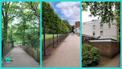 A three-panel collage showcasing pathways and the Safestay Youth Hostel in Holland Park, London. The left panel shows a tranquil, tree-lined walking path bordered by wooden fencing. The center panel displays a long, sandy path with a row of evenly spaced trees. The right panel features an exterior view of the multi-story Safestay Youth Hostel building, partially obscured by a brick wall and foliage in the foreground.