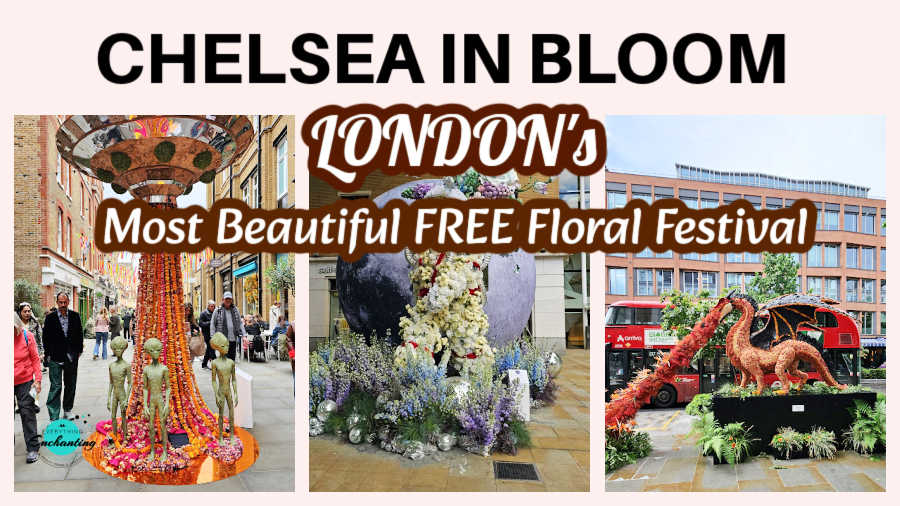 A horizontal graphic banner titled "CHELSEA IN BLOOM" in large black font, with a subtitle reading "LONDON'S Most Beautiful FREE Floral Festival" in stylized brown and white lettering. The banner includes a collage of three vertical photos showcasing different outdoor floral displays. Left panel: Features a floating metallic UFO sculpture with a cascading orange floral tractor beam and three small green alien figures on a city street. Middle panel: Shows a life-sized astronaut statue covered in cream flowers standing next to a large replica of the moon amidst a bed of purple and blue blossoms. Right panel: Displays a large, reddish-orange mythical dragon sculpture exhaling a stream of orange flowers, set against the backdrop of a red double-decker bus.