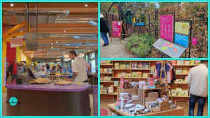 A photo collage highlighting family-friendly areas at Kew Gardens. On the left, a man orders food at the vibrant counter of the Family Kitchen restaurant. On the top right, pink and blue educational signage stands along the outdoor path at the Children's Garden entrance. On the bottom right, a visitor browses wooden shelves stocked with books, toys, and souvenirs inside the shop.