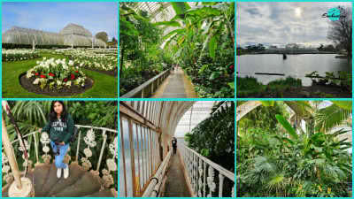 A six-panel photo collage highlighting the Palm House at Kew Gardens. Clockwise from top-left: the exterior view of the iconic Palm House glasshouse set behind neatly manicured lawns and vibrant white flower beds; a lush indoor walkway flanked by dense tropical foliage; a wide view of the glasshouse across the lake under a cloudy sky; close-up tropical plants growing inside the glasshouse; an elevated walkway near the glass roof inside; and a visitor standing on a white ornamental spiral staircase amidst tropical greenery.