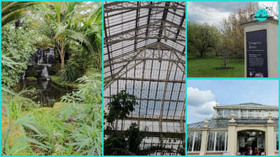 A photo collage highlighting features of the Temperate House at Kew Gardens. On the left, a artificial rock waterfall cascades into a small pool framed by lush green tropical plants and palm leaves. In the center, a vertical view shows the high, vaulted iron framework and glass-paned ceiling of the glasshouse. On the top right, an outdoor information sign stands on a grassy lawn next to trees, and on the bottom right, an exterior view showcases the classic Victorian facade and entrance of the Temperate House under a blue sky.
