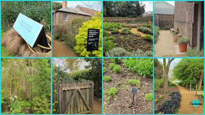 An eight-panel photo collage showcasing the Royal Kitchen Garden at Kew Gardens.
Top Row: A light blue sign nestled among ornamental grasses, an entrance pathway leading past historic brick cottage buildings with a black information board, cultivated garden beds with herbs and vegetables, and terracotta potted plants lining a brick wall and gravel courtyard.
Bottom Row: Lush leafy shrubs and green foliage, a rustic wooden garden gate set within a hedgerow, young plants emerging from mulched soil with black plant markers, and a winding gravel path bordered by trees, dark ground cover, and green lawns.