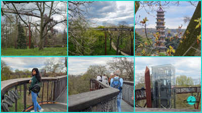 A six-panel photo collage featuring the Treetop Walkway at Kew Gardens. The top row shows ground-level and elevated views of the metal walkways woven through the tree canopy, along with a view of the Great Pagoda framed by tree branches in the distance. The bottom row highlights visitors walking along the elevated, railed wooden pathways above the gardens, as well as the modern glass elevator tower that provides access to the walkway.