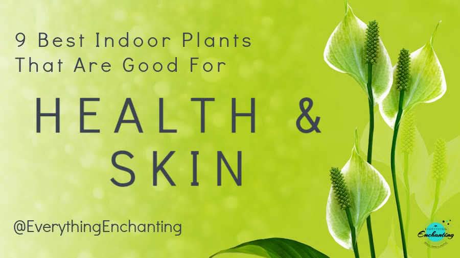 Bright green background graphic featuring peace lily flowers alongside text reading